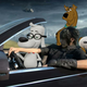 Illustration for article titled Kotaku Shop Contest: Give Me All The Dogs, Winners!em/em